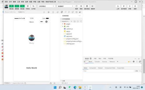 移動軟件開發(fā) 實驗1 第一個微信小程序 實驗報告